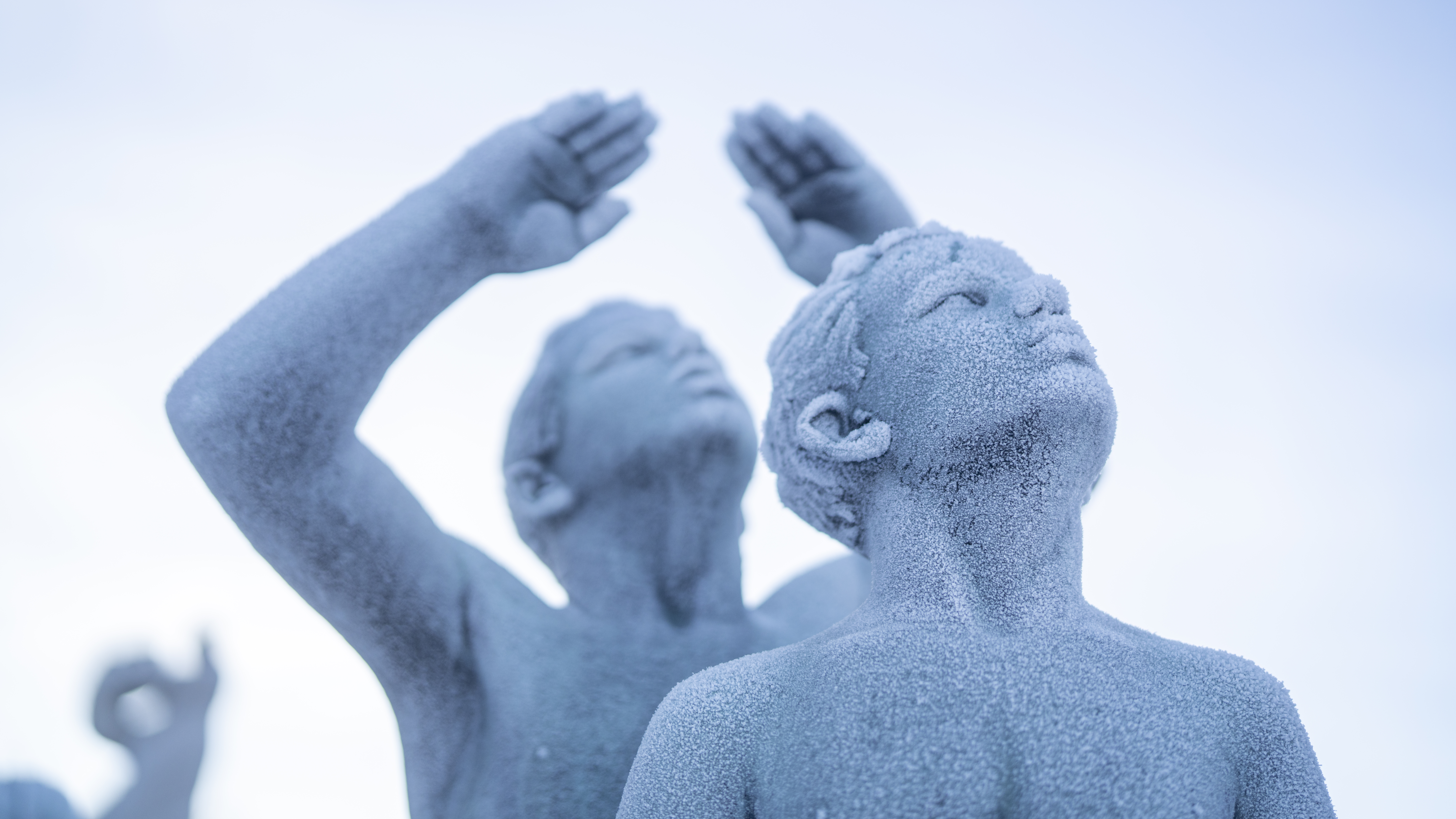 TERRE DEI FIORDI — 6